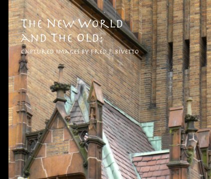 The new world and the old: book cover