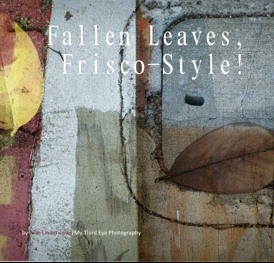 Ver Fallen Leaves, Frisco-Style! por Jane Underwood/My.Third.Eye Photography