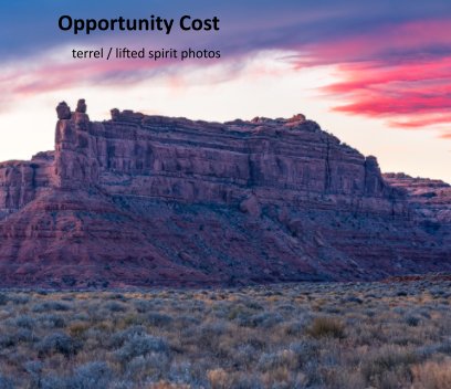 Opportunity Cost book cover