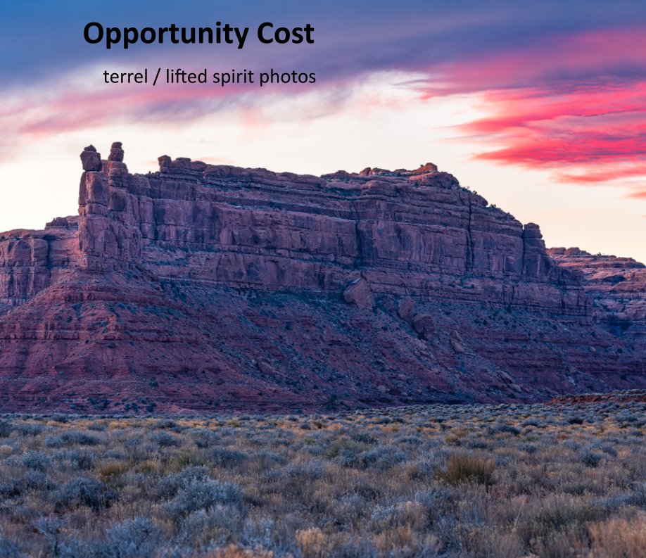 Bekijk Opportunity Cost op terrel / lifted spirit photos