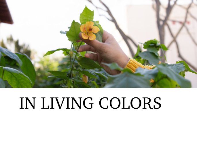 View In Living Colors by Ariana Vergonio