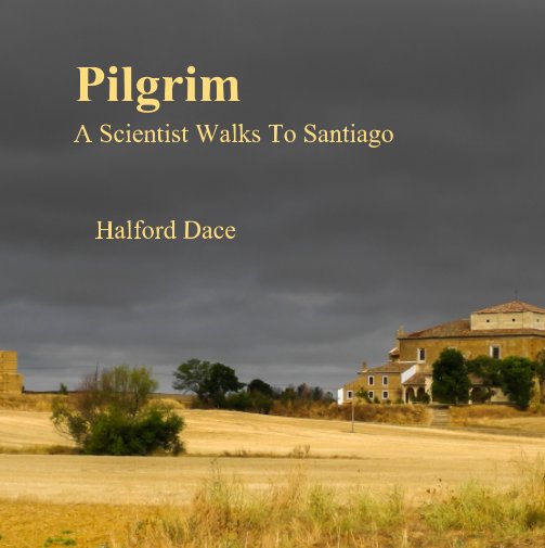 View Pilgrim by Halford Dace