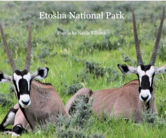 Etosha National Park book cover