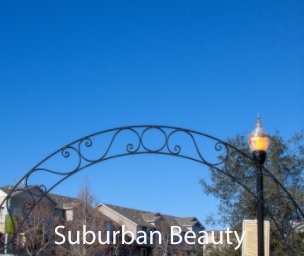 Suburban Beauty book cover