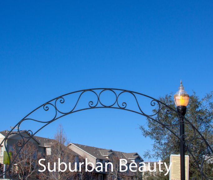 View Suburban Beauty by Tyler Panfil