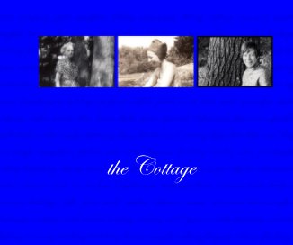the Cottage book cover