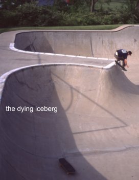 the dying iceberg book cover