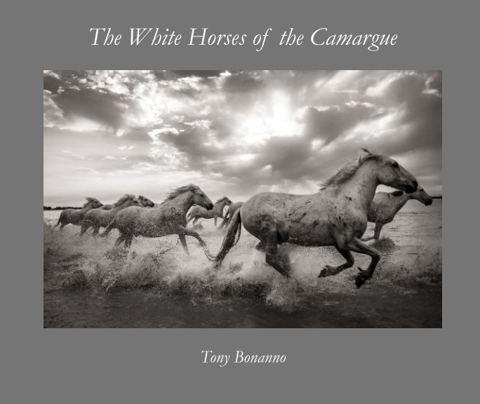 Visualizza The White Horses of the Camargue di Tony Bonanno