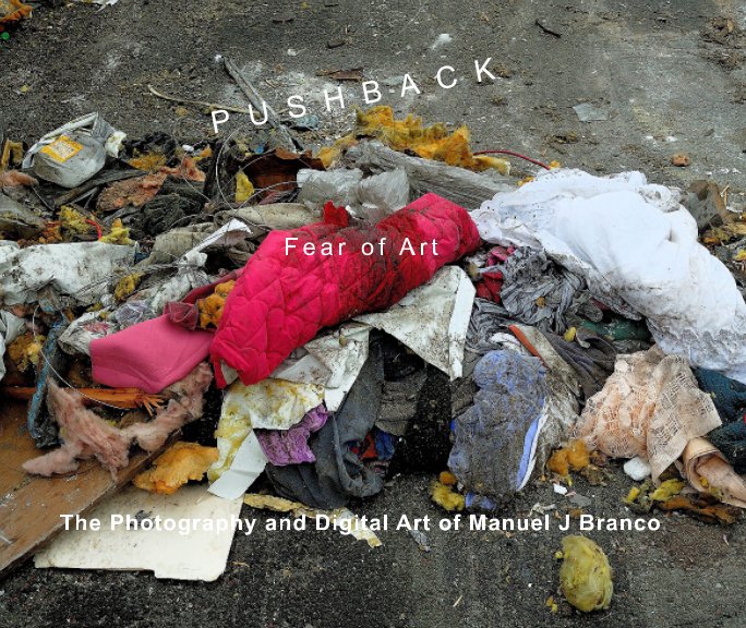 View PUSHBACK - Fear of Art by Manuel J Branco