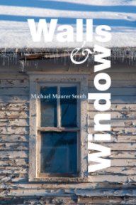 Walls and Windows book cover