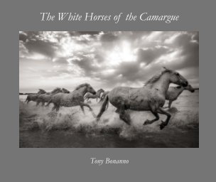 The White Horses of the Camargue book cover