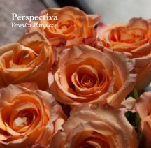 Perspectiva book cover