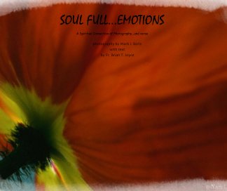 SOUL FULL...EMOTIONS book cover