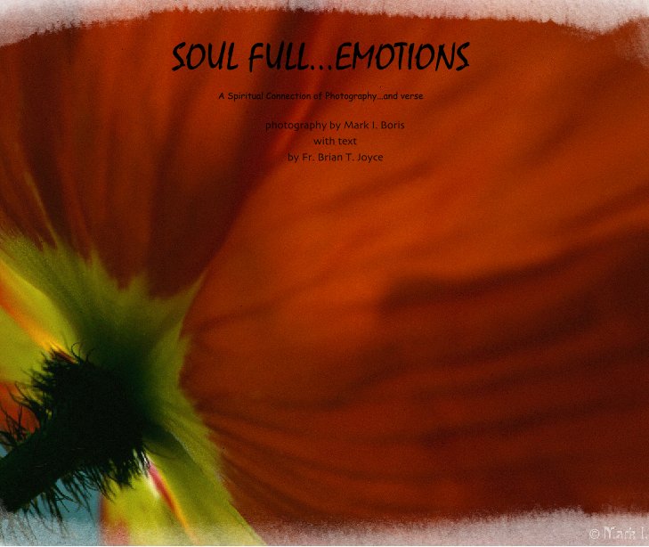Ver SOUL FULL...EMOTIONS por Mark I. Boris (photography) and Fr. Brian T. Joyce (Text)