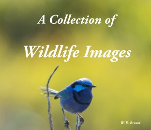 A Collection of Wildlife Images book cover