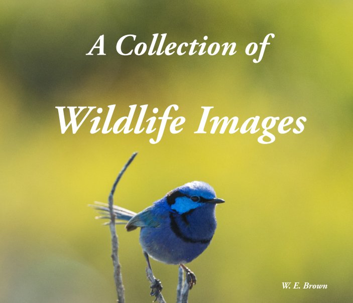 View A Collection of Wildlife Images by W .E. Brown