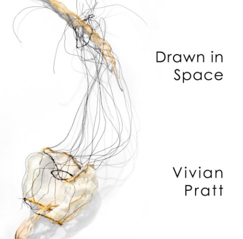View Drawn In Space by Vivian Pratt