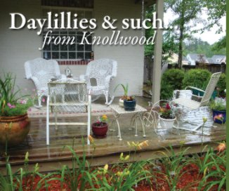 Daylillies & such... book cover