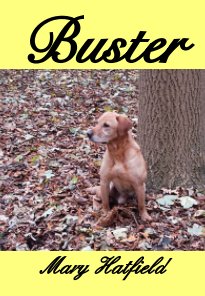 Buster book cover