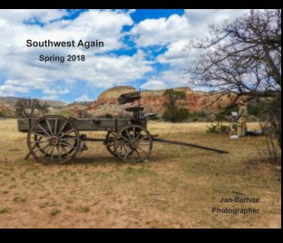 Southwest Again book cover
