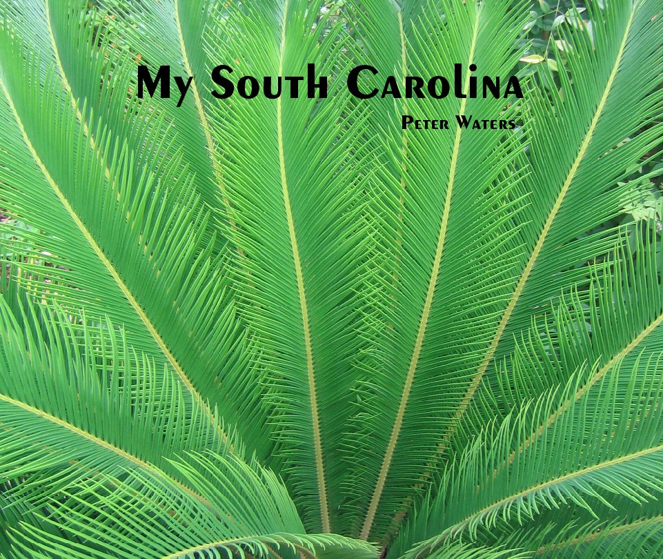 Ver My South Carolina por Peter Waters