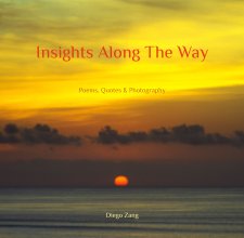 Insights Along The Way book cover