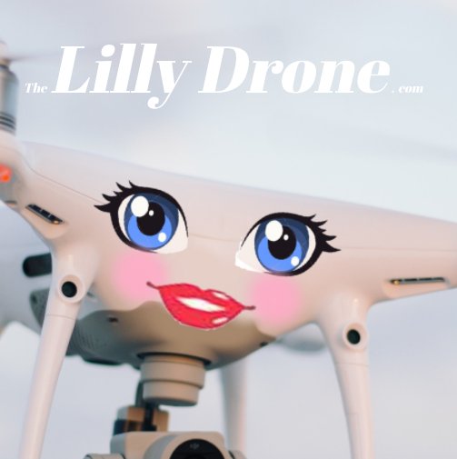 View The LiLLY Drone by Rick Nyles