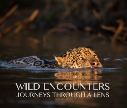 Wild Encounters book cover