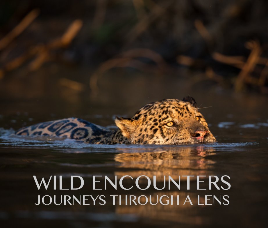View Wild Encounters by Charlie Turner