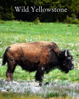 Wild Yellowstone book cover