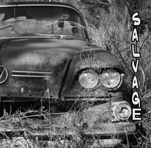 View Salvage by Patrick M Lynch