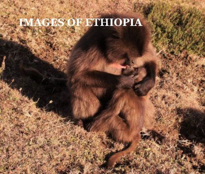 Images of Ethopia book cover