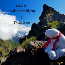 How to Look Magnificent by Theta Bear book cover