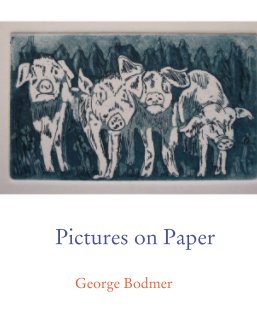 Pictures on Paper book cover