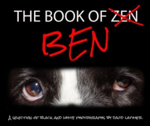 The Book of Ben book cover