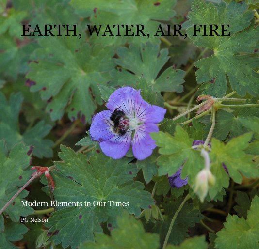 View EARTH, WATER, AIR, FIRE by PG Nelson