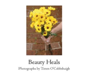 Beauty Heals book cover