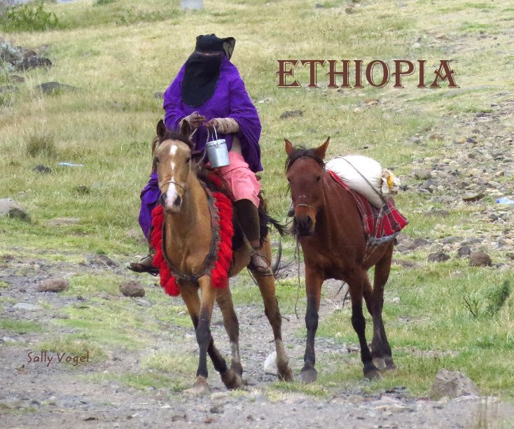 View Ethiopia by Sally Vogel