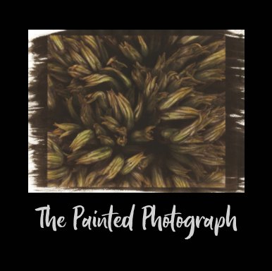 The Painted Photograph book cover