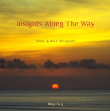 Insights Along The Way book cover