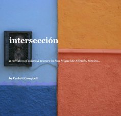 interseccion book cover