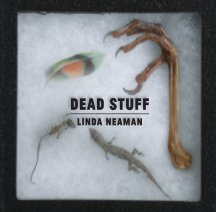 Dead Stuff book cover