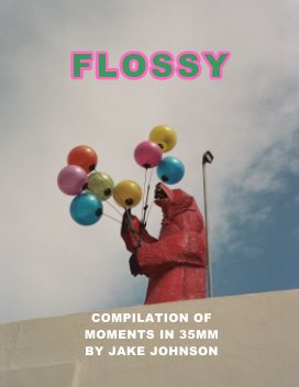 Flossy Vol. 1 book cover