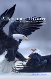 A National Divorce book cover