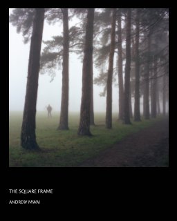 The Square Frame book cover