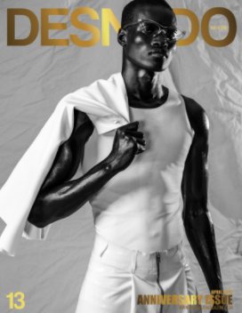 Desnudo Magazine 13 book cover