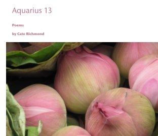 Aquarius 13 book cover