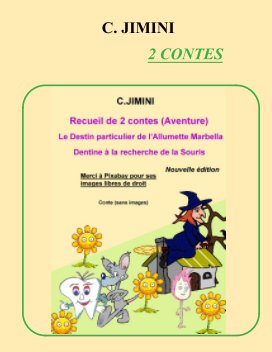 (FRANCAIS)Recueil de 2 contes (Le Desin particulier de l'Allumette Marbella, Dentine à la recherche de la souris) book cover