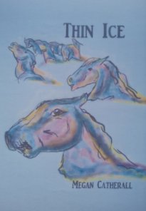 Thin Ice book cover