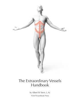 The Extraordinary Vessels Handbook book cover